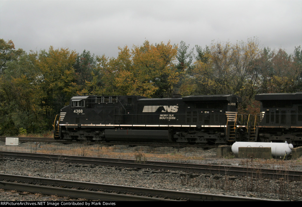 NS 4388